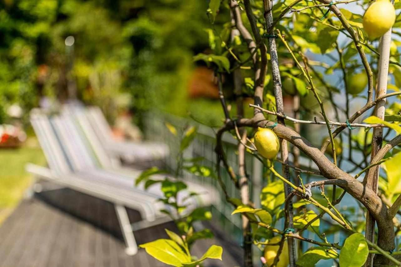 Villa delle Edere Brienno Eksteriør billede